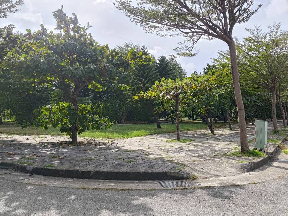 伸港4號公園