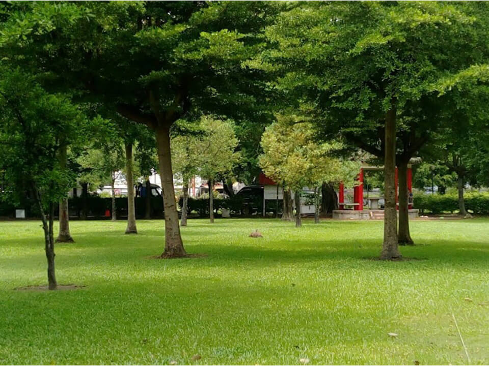 思恩公園