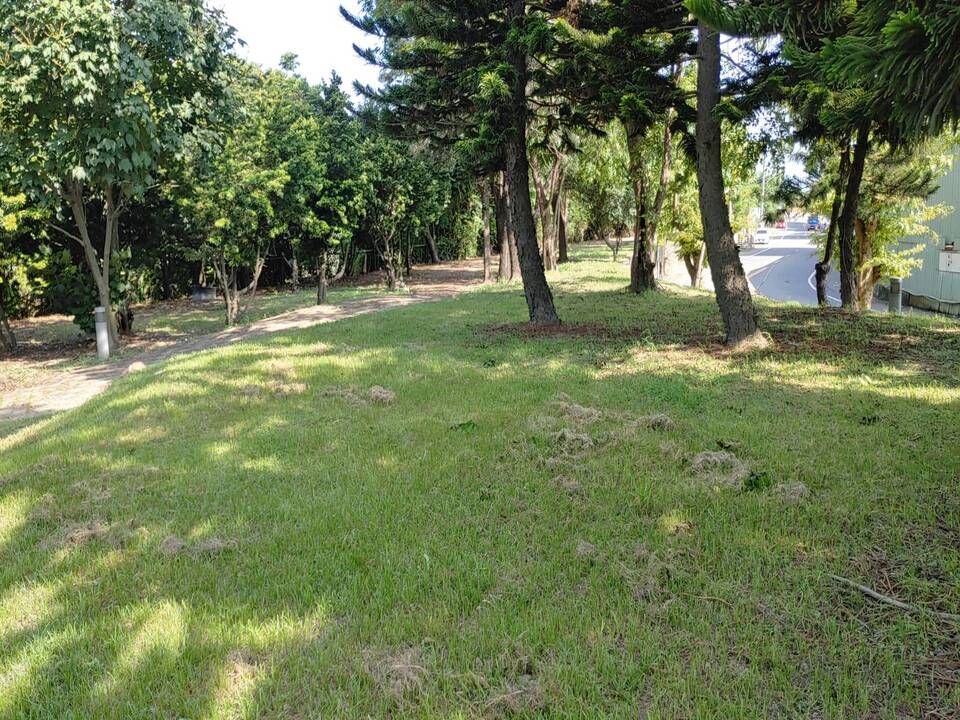 河濱公園