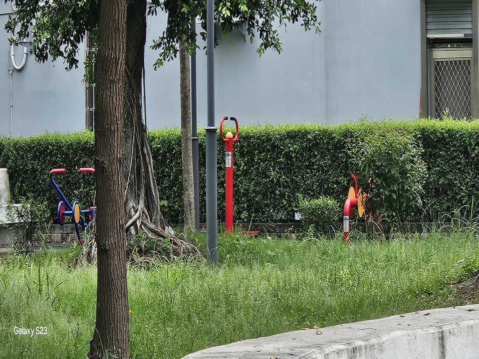華中公園