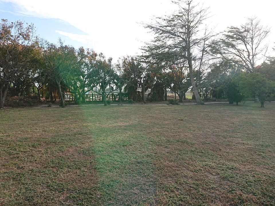 伸港虎頭山公園