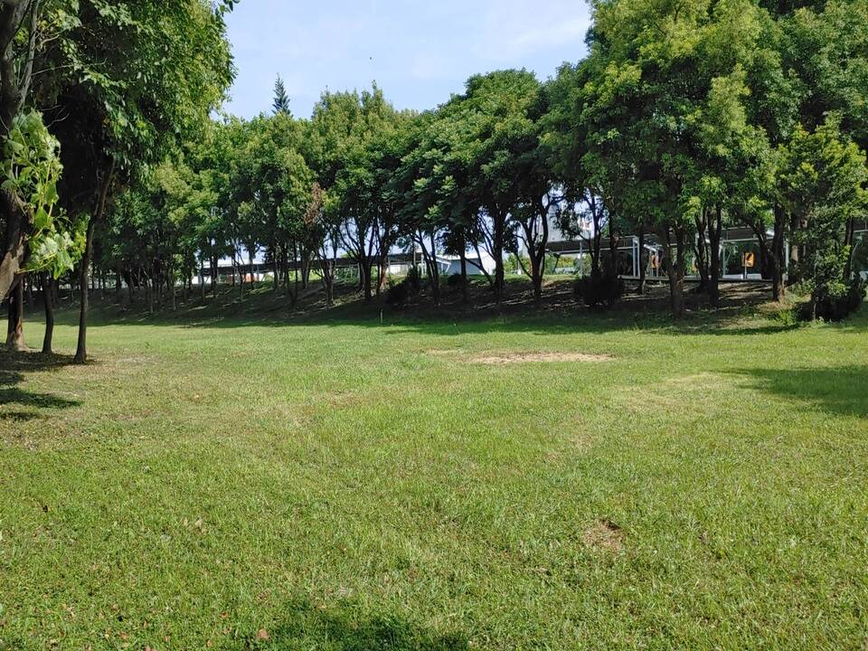 莊雅公園