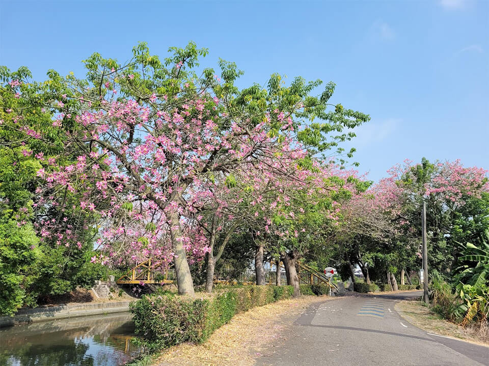 河濱公園