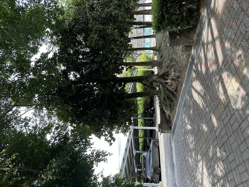 永靖鄉鄭成功公園