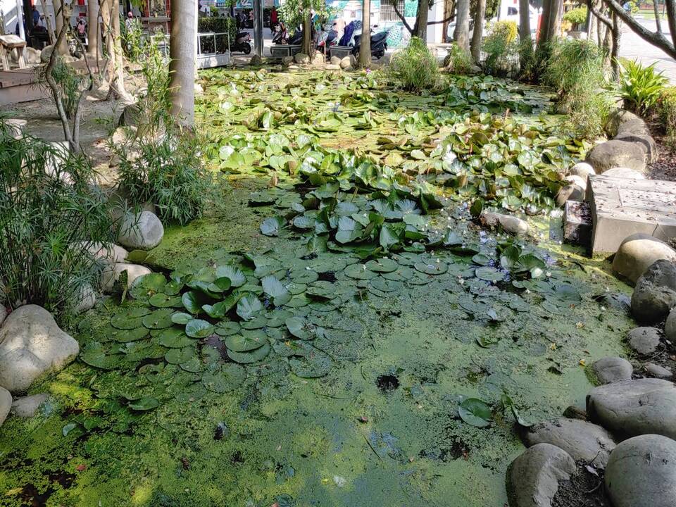 陝西生態公園