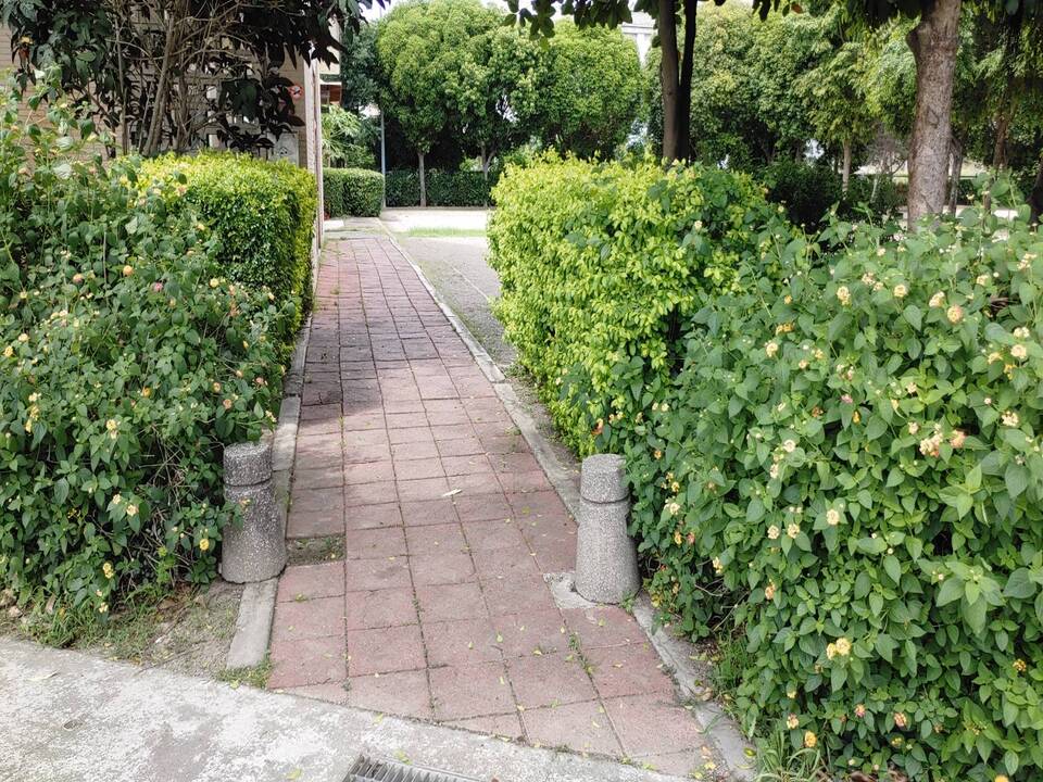 槌球場公園