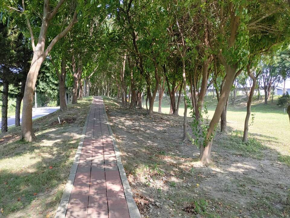 莊雅公園