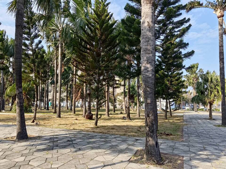 伸港壹號公園